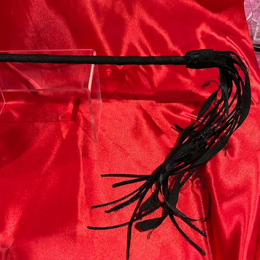 Ring Masters Prop Whip